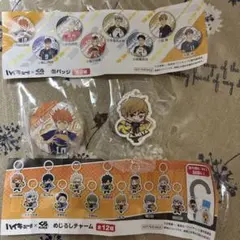 ハイキュー!! 日向翔陽 缶バッジ &宮 侑チャーム・黒尾鉄朗 クリアファイル