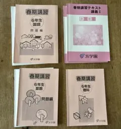 2026年最新】浜学園小6国語の人気アイテム - メルカリ