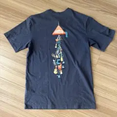 【値下げしました！】PATAGONIA ダークネイビーTシャツ