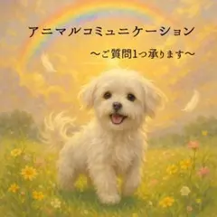 ペットロス経験者です〜寄り添うアニコミ〜大切なペットさんと心を通わせるひととき〜