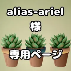 alias-ariel様 専用ページ