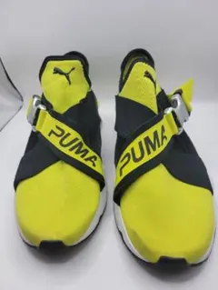 Item thumbnail for item 2299d08f-ea8d-4922-b164-86b2604a2218