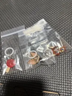 ʚ*』様 ズートピア めじるしアクセサリー3種セット