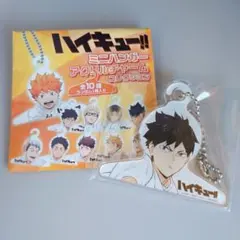 ハイキュー!! ミニハンガー アクリルチャーム 影山飛雄