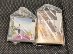 ゲームパッケージミニチュアチャーム（Playstation）トロと休日