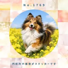 Item thumbnail for item 671c7693-86fe-4b09-baf4-9157a559b87b