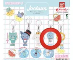 Jochum めじるしアクセサリー RURU ガシャポン - メルカリ