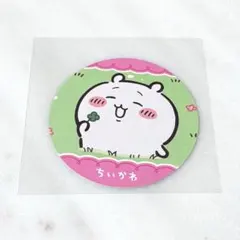치이카와 코스터