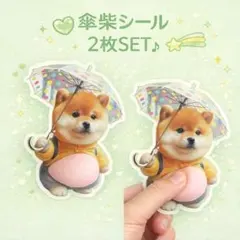再入荷✨柴犬シール 2枚セット　傘デザイン　柴犬お腹シール　スクイーズシール交換