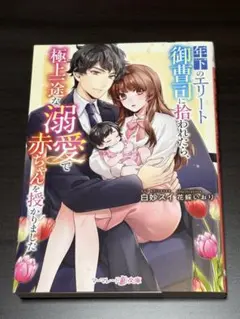 極上の溺愛で赤ちゃんを授かりました