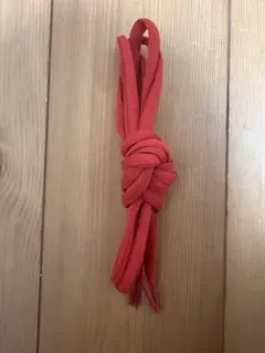 ★NIKE SB DUNK LOW ★赤いシューレース