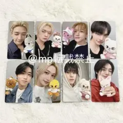 straykids skzoo ズートピア トレカ 8枚 コンプリート