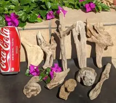 2025年最新】アク抜き済流木の人気アイテム - メルカリ