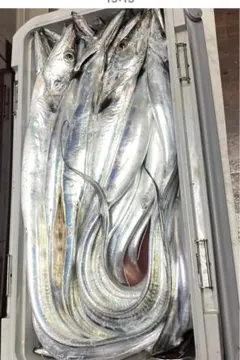 Item thumbnail for item 7e43f654-9d9a-4f89-93de-4b4bb1dfc618