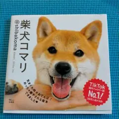 柴犬コマリ