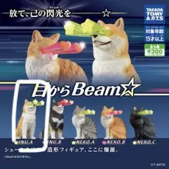 ビーム カプセルトイ