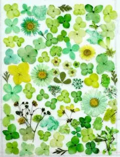 Item thumbnail for item 2c3c0571-f2f8-4b46-9591-9009e0af6a2e