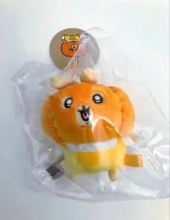 2026年最新】カボチャなうさぎ ちいかわの人気アイテム - メルカリ