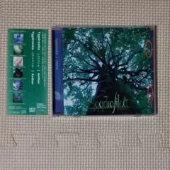 CD Yggdrasika Aether ユグドラシカ 世界樹の迷宮アレンジ