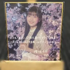 櫻坂46 サクコレ 的野美青 色紙 ステッカー 5th アニラ セット - メルカリ