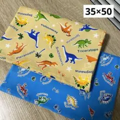 ランチョンマット35×50 2枚セット 恐竜　ダイナソー
