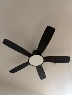 Item thumbnail for item 5d39d075-af68-4082-8409-efa04aaadf08