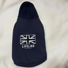 Item thumbnail for item a00cfe3e-a3d6-434a-b2dd-0f40fe3dcb67