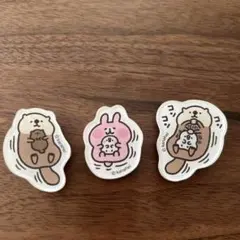 2025年最新】海の中道マリンワールド ラッコ リロの人気アイテム