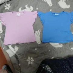 zara フリル袖Tシャツセット（ピンク・青）
