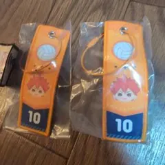 ハイキュー　　フライトタグコレクション　日向翔陽　2点