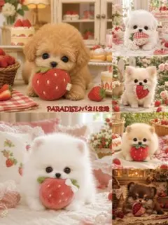 PARADISEパネル生地　 犬柄　P586