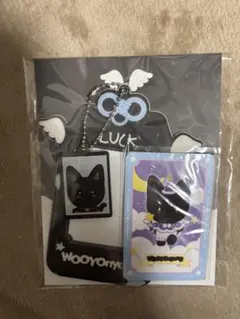 ATEEZ ANITEEZ ⭐︎pvcトレカケースウヨン ※公式トレカオマケ付き