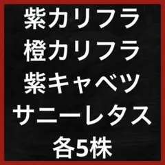 aki様 リクエスト 4点 まとめ商品