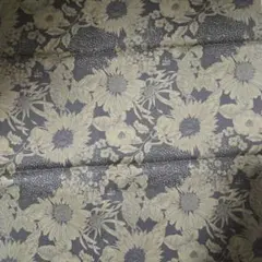 Item thumbnail for item 6c49811d-0d92-4285-9c37-15556b6ac06e