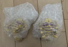 一番くじ ジョジョの奇妙な冒険 G賞 ハーヴェスト