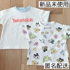 Item thumbnail for item 992e9501-9e00-4855-a997-f46e579ca961