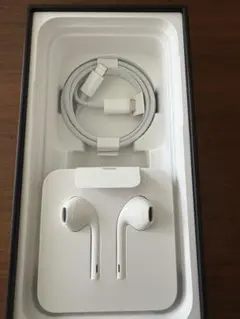 Apple 純正イヤホン Lightning Earpods新品未使用
