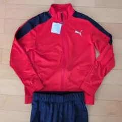 PUMA トレーニングウェア 上下セット 人気　美品　京都サンガ PUMA トレーニングウェア 上下セット 人気 美品 京都サンガ - メルカリ