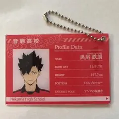 2025年最新】黒尾鉄朗バースデーの人気アイテム - メルカリ