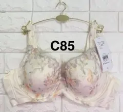 【新作】トリンプ　恋するブラ　TR623 ブラジャー　オフホワイト　C85