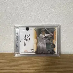 い様 リクエスト 2点 まとめ商品