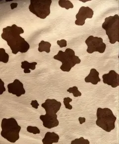 Item thumbnail for item 8427d67c-978c-47fd-aa3e-10411cc31290