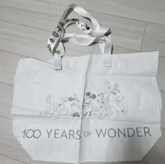 香港ディズニーランド ディズニー100周年　エコバッグ 手提げ袋　M