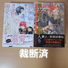 ■裁断済■　BL小説　2冊セット③　分売不可　まとめ売り