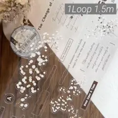 Item thumbnail for item 8ea55a51-f8b4-4661-9f73-53a54aa19608