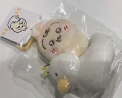 Item thumbnail for item 98c775ac-a5c3-4893-88b1-3ee9b5226e63