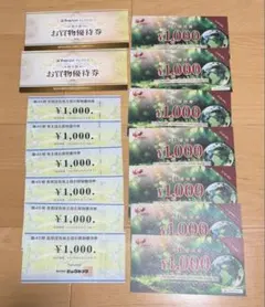 ビックカメラ　ヤマダ電機　コシダカ　株主優待券　23000円分