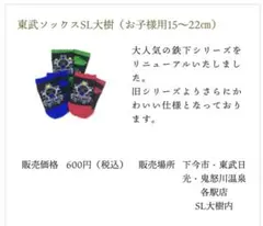 【SALE 新品】 鉄下 C11 325 SL大樹 15～22cm キッズ靴下