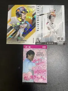福岡ソフトバンクホークス柳田悠岐鷹祭SUMMER BOOST タカコレ若鷹
