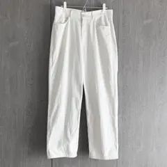 Steven Alan TWST 5P BGY デニムパンツのサムネイル